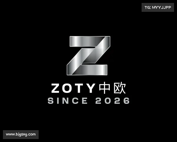 解读zoty中欧